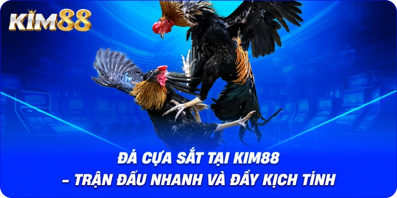 Đá Cựa Sắt tại Kim88 - Trận đấu nhanh và đầy kịch tính.